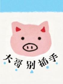 大哥别插手